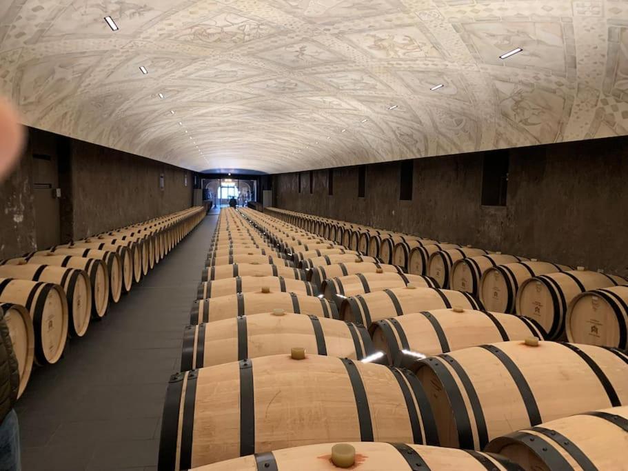 Studio Confortable Aux Portes De Bordeaux Et Medoc Ludon-Medoc Exterior photo